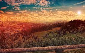 Clouds Daylight Forest Hd Wallpaper Nature Wallpaper Forest Landscape Landscape