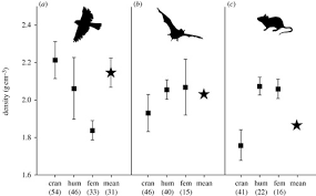 Lab mammal footprints lab bird counts virtual lab how are birds adapted to their habitat? Bone Density And The Lightweight Skeletons Of Birds Proceedings Of The Royal Society B Biological Sciences