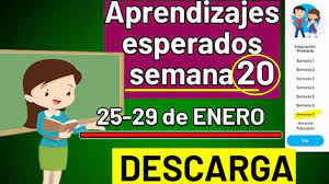 Descarga Los Aprendizajes Esperados De La Semana 20 25 A 29 De Enero De 2021