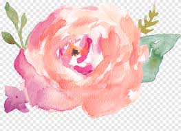 We did not find results for: Pink Flower Illustration Watercolor Painting Drawing Water Color Flower Rose Order Png Pngegg