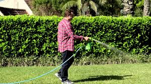 The book focuses on the various tasks of lawn care, such as mowing, watering, weeding and feeding. 5 Tips For Fertilising And Caring For New Lawn Greener Lawn