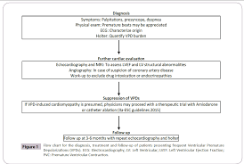 Premature Ventricular Contraction Induced Systolic Heart