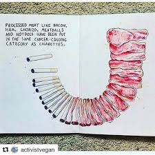 Pin On Plant Based Inspo Facts