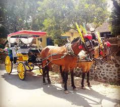 Check spelling or type a new query. Kenderaan Tradisional Di Jogjakarta Pelancongan Jogja
