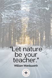 Eine auswahl der bekanntesten zitate von andrea nahles: 50 Reggio Inspired Quotes Ideas In 2021 Reggio Inspired Reggio Play Based Learning