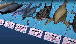 Just How Big Were Those Ancient Sea Creatures Bare Sports