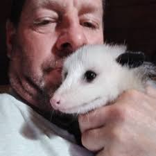 Penelope, launching! Battle...start!