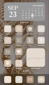 Pin On Iphone Home Screen Inspo