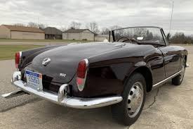 Image result for Rubino Scuro 1963 Alfa-Romeo