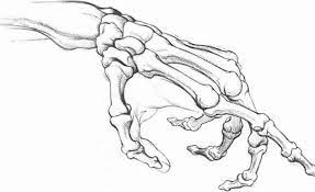 Anatomyand Structure Drawing Hands Joshua Nava Arts Skeleton Drawings Skeleton Hands Drawing Hand Sketch