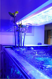 840 Liter Reef Aquarium From Switzerland Reef Aquarium Led Lighting Orphek Aquarium Reef Aquarium Led Aquarium Lighting