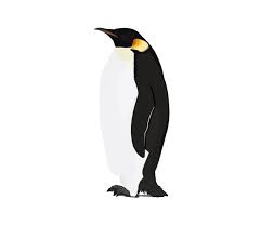 Pin On Animals Animales Animais