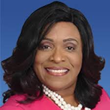 Tampa Bay Regional Planning Council Leadership: 2023 Officers & Council  Members