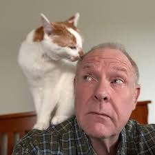 Mr. Fred's Guide to Scams, Fraud & Online Safety: For People 50+ (Mr.  Fred's Guides for People 50+) (English Edition)