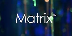Matrix (#256-3675-E 2 CEUs)