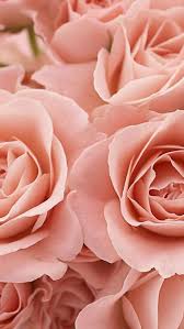 Inmyfieldofpaperflowers A Color Theme Based Blog Wallpapers Pinterest Hortensia Rozen En Lavendel