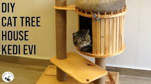 Cat Tree House Kedi Evi Yapimi Diy Cat Tree House Making A Cat House Kedi Tirmalama Agaci Youtube 2020 House Kedi Kedi Evi