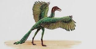 Resultado de imagen de ARCHAEOPTERYX