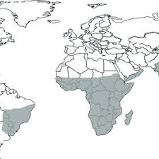 Image result for Dyschoriste trichocalyx