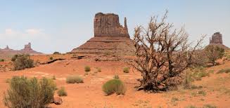 We did not find results for: Wildcat Trail Im Monument Valley Wanderung Outdooractive Com