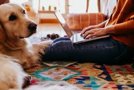 Lucru de acasa pentru mamici/ studente з/п не указана. Joburi De Acasa Trend Jobs