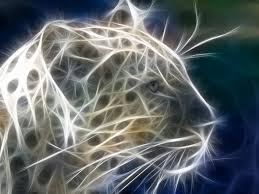 Wallpaper space animal wallpaper black wallpaper cool wallpaper lynx jaguar animal wild animal wallpaper colorful wallpaper wallpaper backgrounds pet tiger tiger art cartoon tiger hd. Cool Animal Wallpaper 1024x768 74017