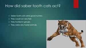 How Smilodon Got Its Stripes - Sabre-Tooth Tiger Origins