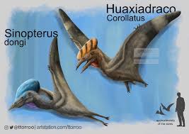 Image result for Sinopteridaceae