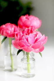 Diy Flower Arrangement Peonies 3 Ways Blumenarrangements Diy Fruhlingsblumen Fruhling Blumen