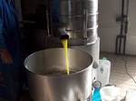 Centrifuga per olio di oliva
