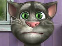 Konusan Kedi Oyunu Oyna Kedi Oyun Macera