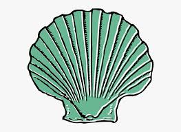 You will then receive an email with further instructions. Transparent Sea Shell Clip Art Shell Clip Art Hd Png Download Kindpng