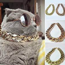 Just enter your zip code and we'll show you your closest stores. Buy 36cm Adjustable Dog Punk Chain Cool Cat Collar At Affordable Prices Free Shipping Real Reviews With Photos Joom