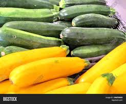 Now zucchini has spread in several countries. Yellow Green Zucchini Image Photo Free Trial Bigstock