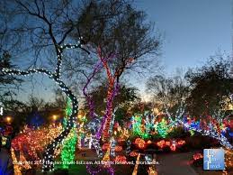 But, when it comes to winter. The Festive Annual Cactus Garden Light Display At Ethel M Chocolate Factory In Henderson Nevada Holiday Lights Light Show Light Display
