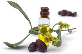 Diy Natural Perfumes How To Make Them And Why You Should Jojoba Oil Uses What Is Jojoba Oil Jojoba Oil Benefits