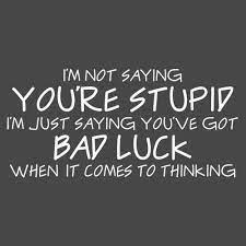 Now That S A Shirt Stupid Quotes Funny Quotes Funny Words