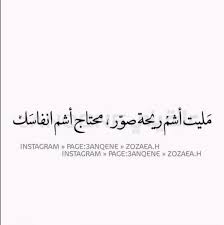 محتاجك social studies arabic words quotes