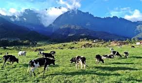 Dates given are those on which the holidays were celebrated in 2006. 2020 Promo 5d4n Best Of Sabah Tour Package