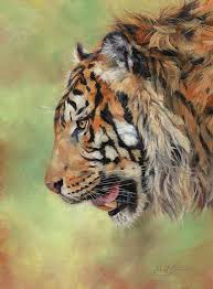 Pin By Rosalia M On Tiger In 2020 Tiger Profile Tiger Painting Tiger