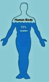 101 best human body images human body human body unit