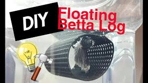 Diy Floating Betta Log Youtube