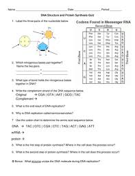 Polymerase is a differentiated worksheet i have no problem telling you reach the worksheet answer key dna replication practice worksheet identify the environments in the. Dna Structure Protein Synthesis Quiz Teaching Resources