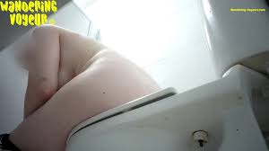 Wandering Voyeur - Beach Toilet Series 296 - Metadoll Cool Porn Leaks