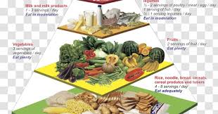 How to eat more fibre. Malaysian Cuisine Nutrient Food Pyramid Nutrition Group Health Transparent Png