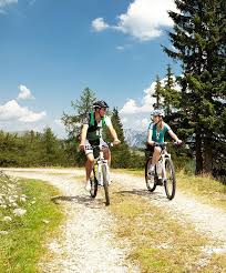 Hier Schlagt Das Bikerherz Bestimmt Hoher Egal Ob Fur Mountainbiker Oder Ebiker Im Lammertal Gibts Fur Alle Die Passenden Touren E Biker Salzburger Land