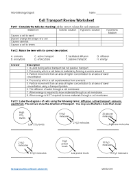 Transport across the cell membrane other contents: Handout Cell Transport Review Worksheet Doc Osmosis Life Sciences
