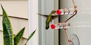 See more ideas about hummingbird, humming bird feeders, how to attract hummingbirds. 10 Best Hummingbird Feeders For 2020 Dish Bottle Hummingbird Feeders