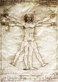 Do not be afraid of them because they are just trying to keep you safe. Da Vinci S Ghost Lives On In The Vitruvian Man Ncpr News