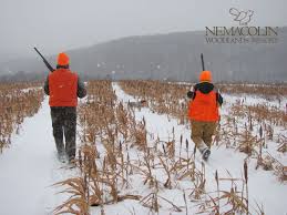 Upland Birds Hunts At Nemacolin S Field Club Upland Bird Hunting Bird Hunting Upland Hunting